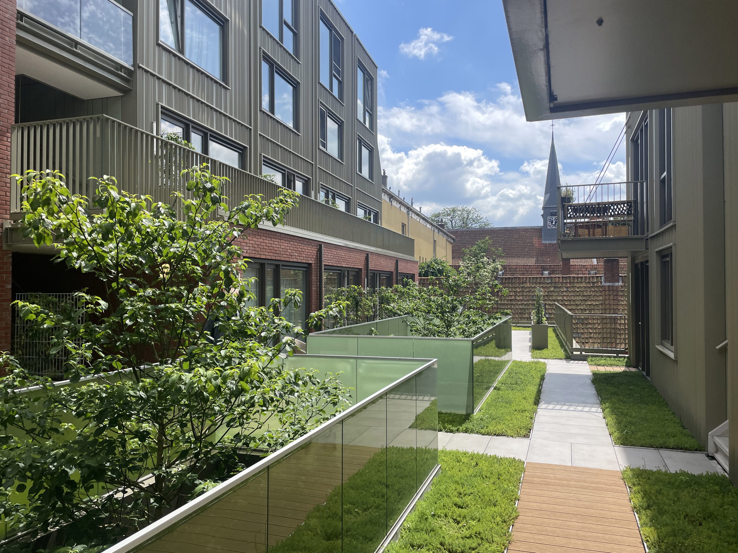 17009 aanleg daktuin sedum